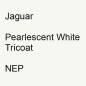 Preview: Jaguar, Pearlescent White Tricoat, NEP.